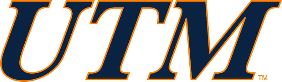 Tennessee-Martin Skyhawks 2007-2017 Wordmark Logo v2 iron on transfers for T-shirts